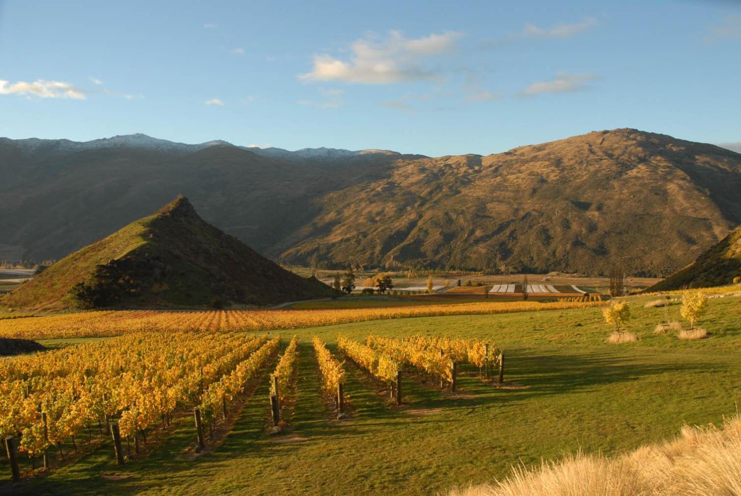 Mt Rosa Lodge Wanaka Exterior foto